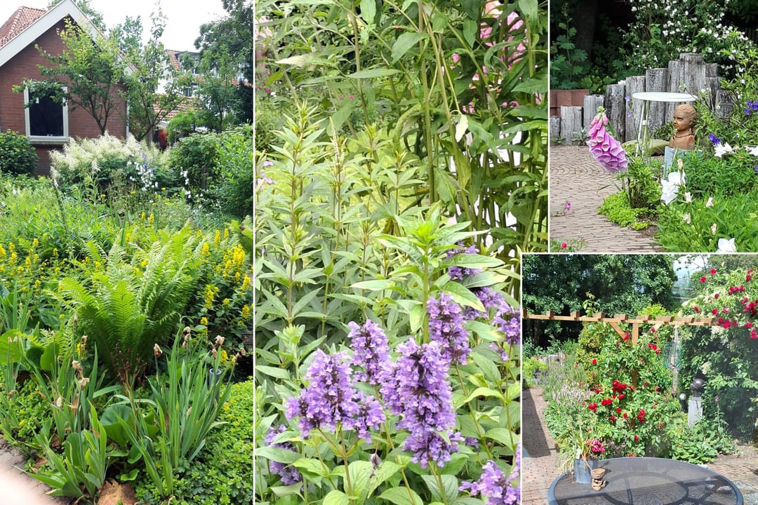 Foto 23 van Barchman Wuytierslaan 9