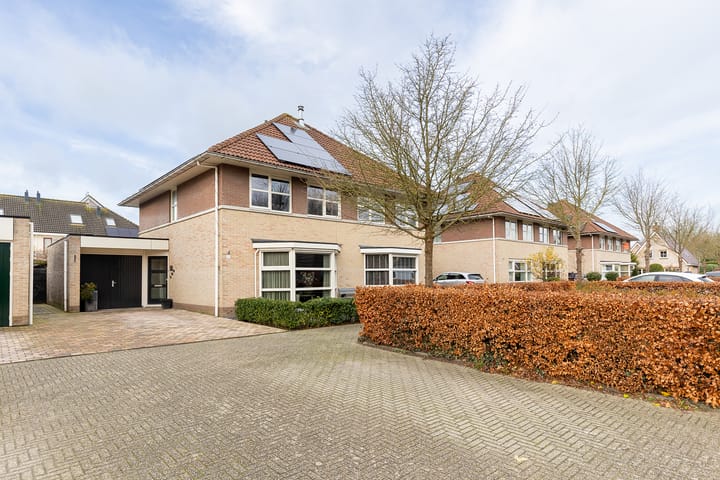 Foto 2 van Bomenland 12