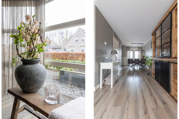 Foto 15 van Bomenland 12