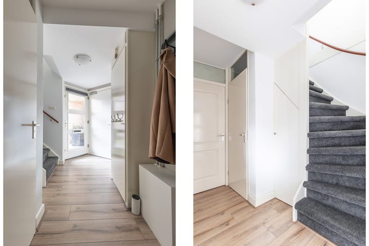 Foto 31 van Bomenland 12