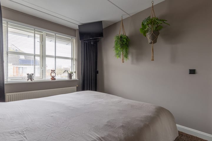 Foto 35 van Bomenland 12