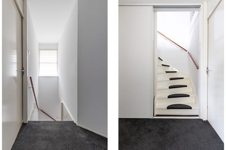 Foto 54 van Bomenland 12