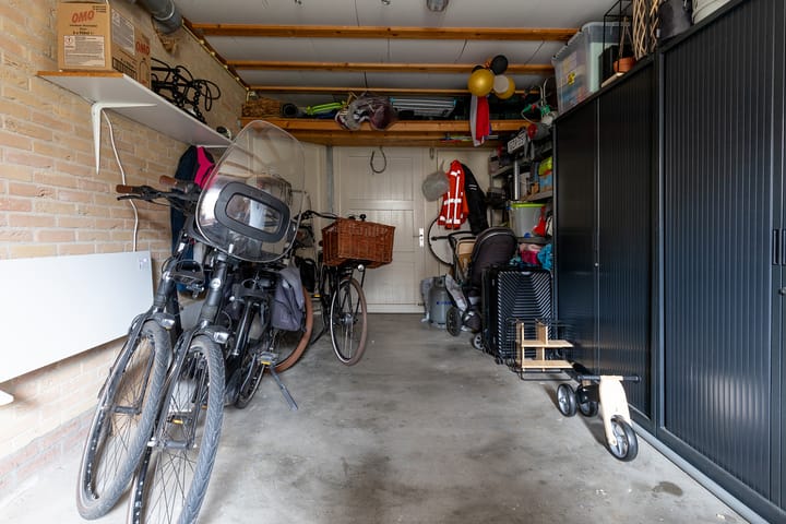 Foto 60 van Bomenland 12