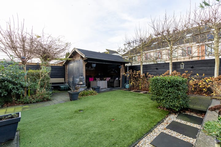 Foto 63 van Bomenland 12