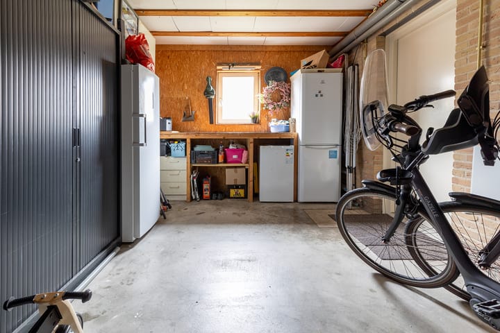 Foto 61 van Bomenland 12