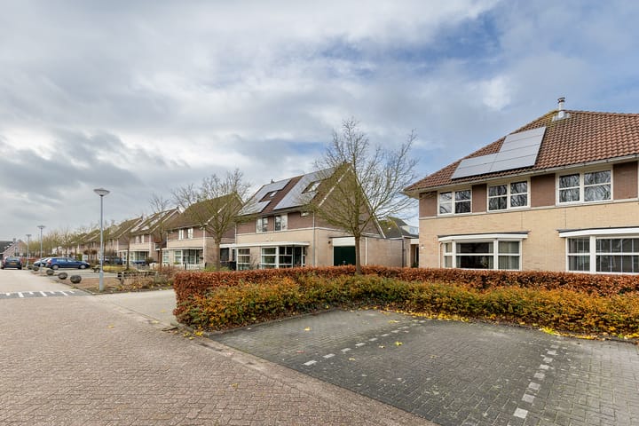 Foto 70 van Bomenland 12