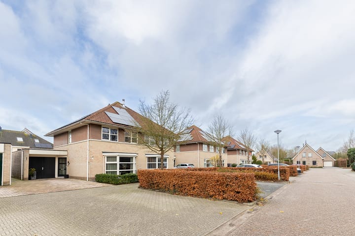 Foto 71 van Bomenland 12