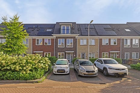 undefined main image