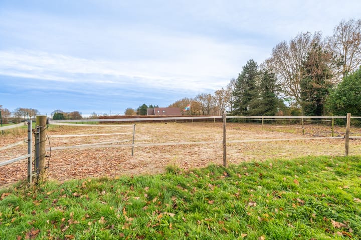 Foto 14 van Koloniesweg 5