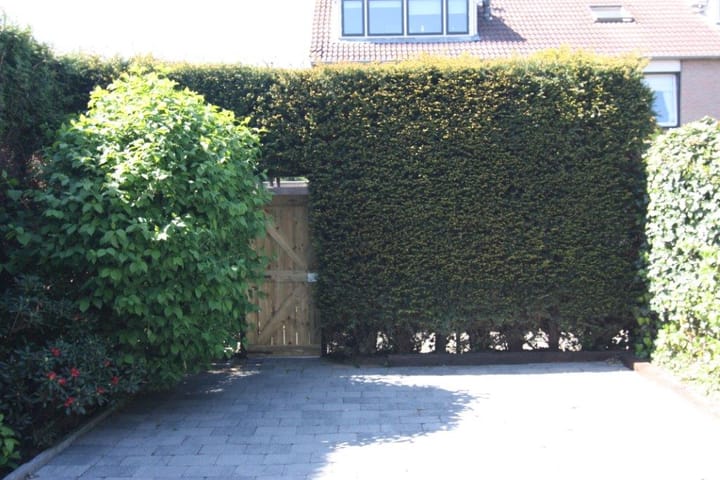 Foto 4 van Drossaard 15