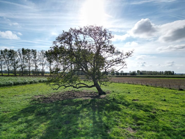 Photo 35 of Zandstraat 23