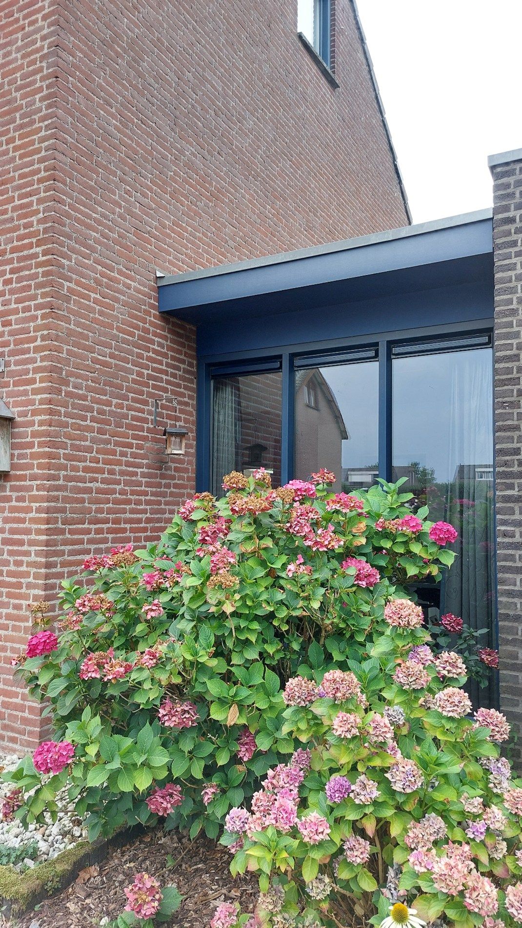 Foto 21 van Bertiliastraat 2-A