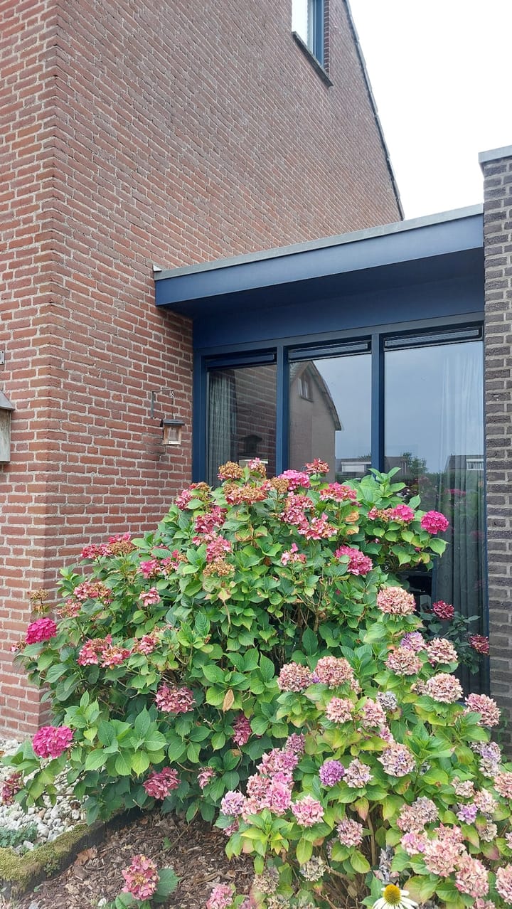 Photo 21 of Bertiliastraat 2-A