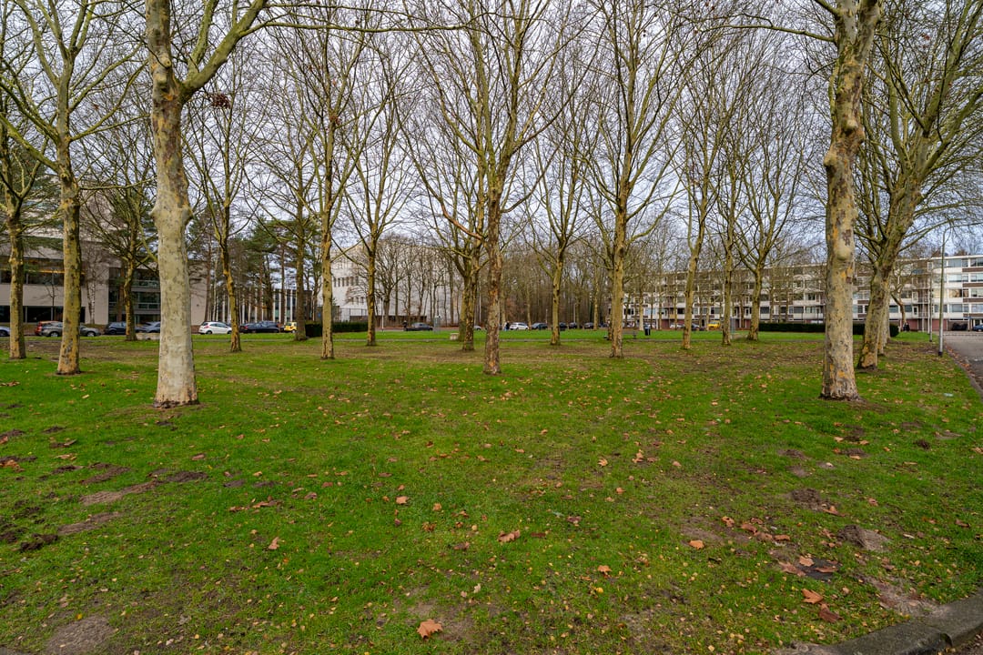 Photo 37 of Westertorenlaan 45