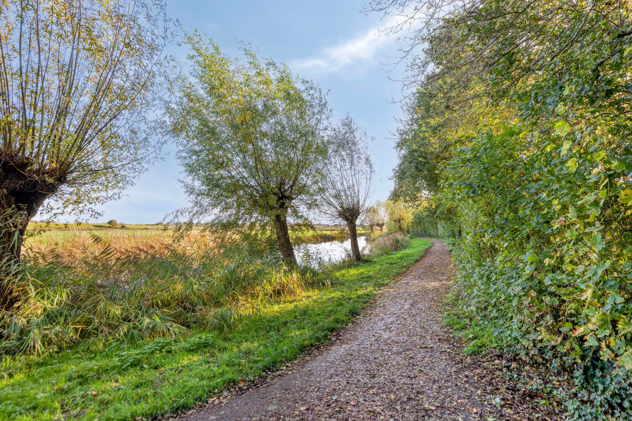 Foto 39 van Mr. W.M. Oppedijk van Veenweg 66