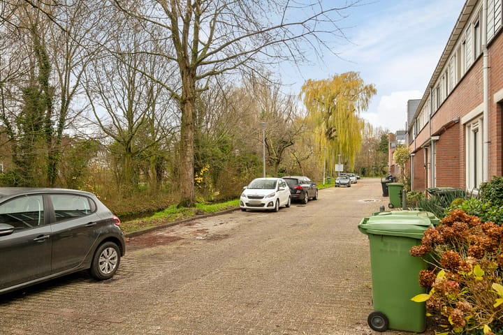 Foto 35 van Bolnesservliet 28