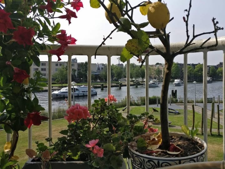 Foto 10 van Marcantilaan 393