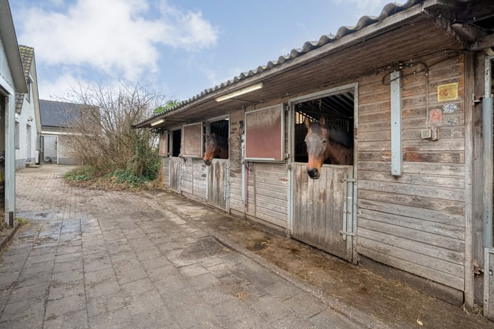 Photo 70 of Samuelswijk 9