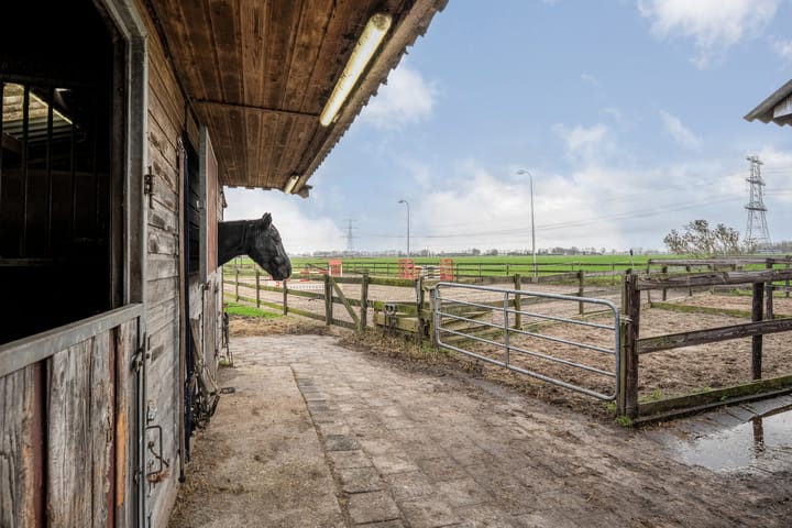 Photo 73 of Samuelswijk 9