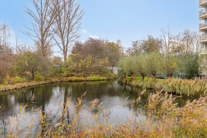 Foto 29 van Octant 12