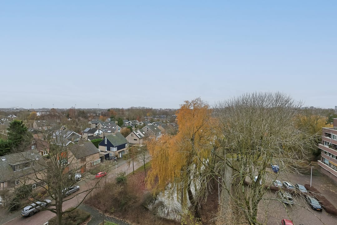 Photo 38 of Raaphorst 81