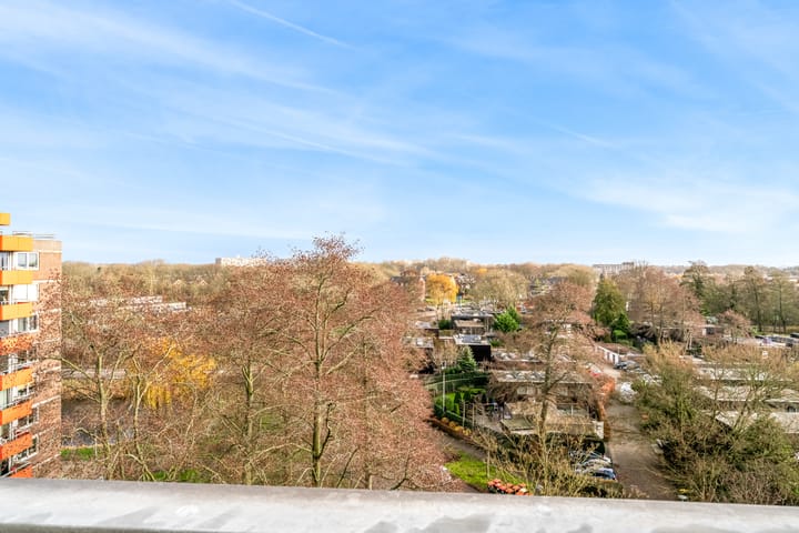 Foto 12 van Zevenblad 73