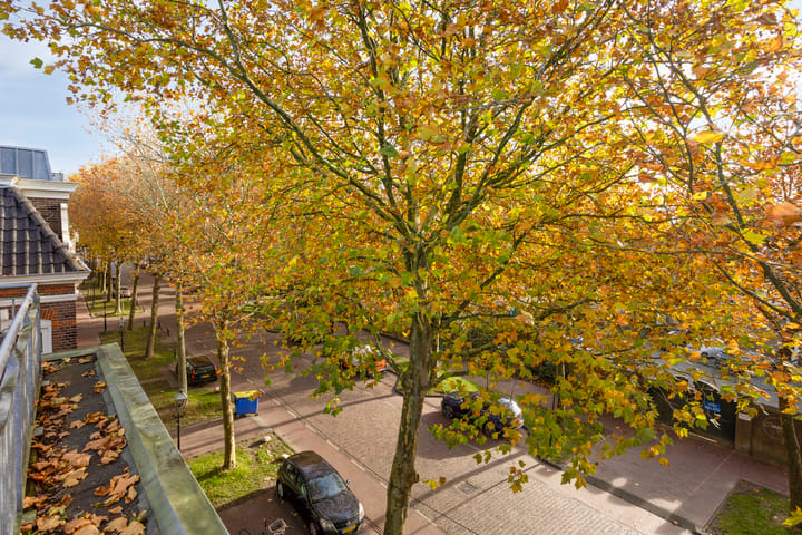 Foto 35 van Torenlaan 22-B