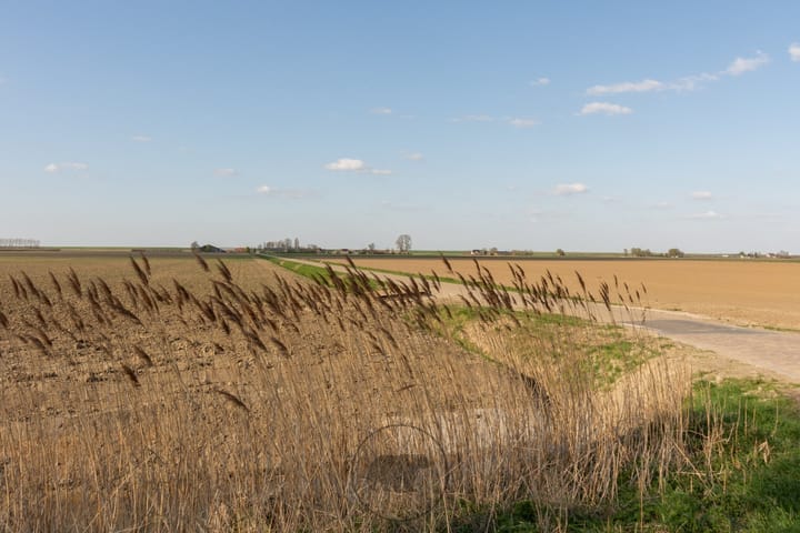 Photo 16 of Jacobus de Waalstraat 12