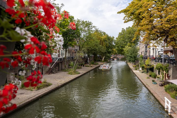 Foto 31 van Vrouwjuttenstraat 7