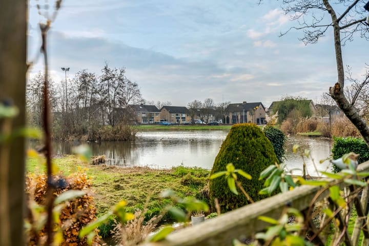 Foto 14 van De Parnassia 6