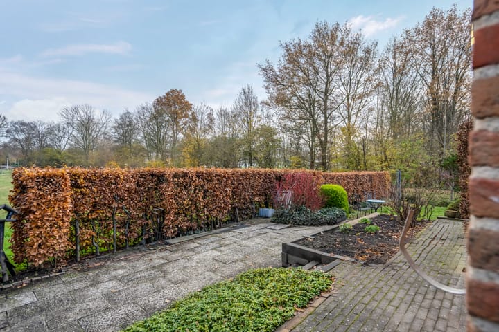 Foto 17 van De Parnassia 6