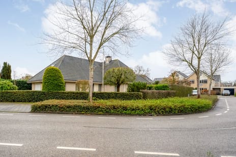 Stegemanserf 8 secondary image