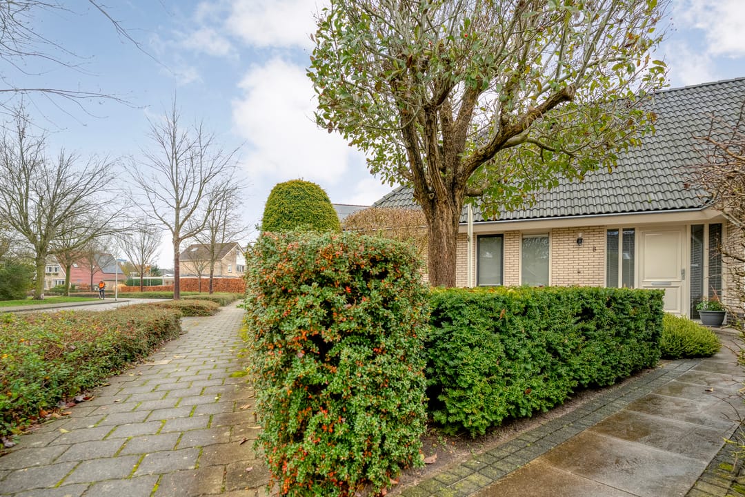 Foto 7 van Stegemanserf 8