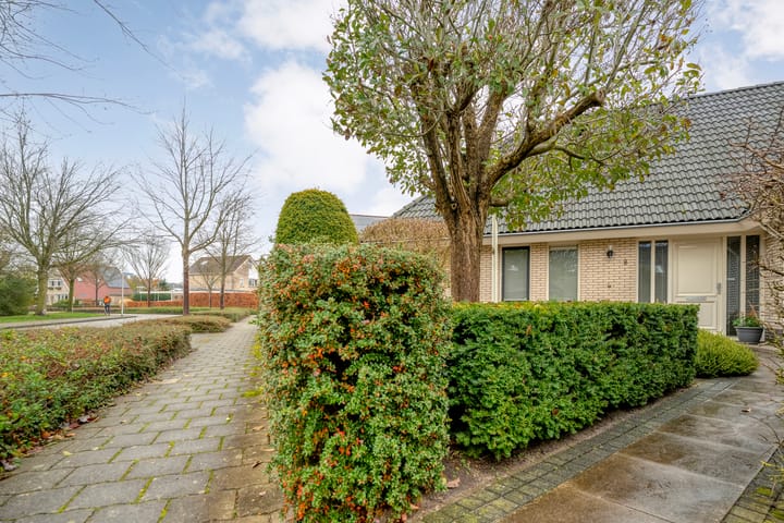 Foto 7 van Stegemanserf 8