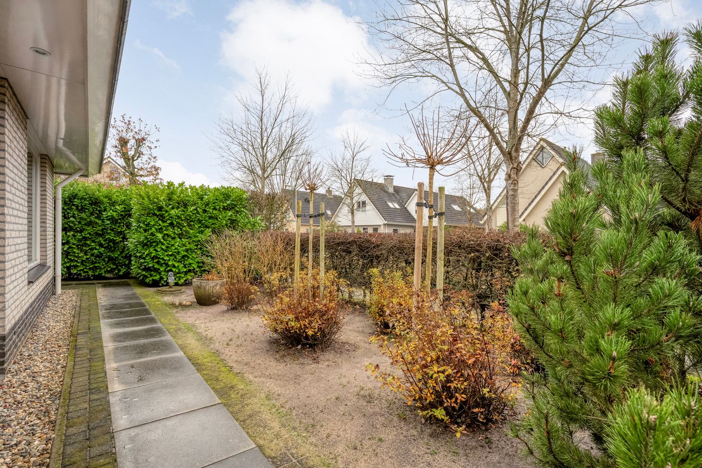 Foto 50 van Stegemanserf 8