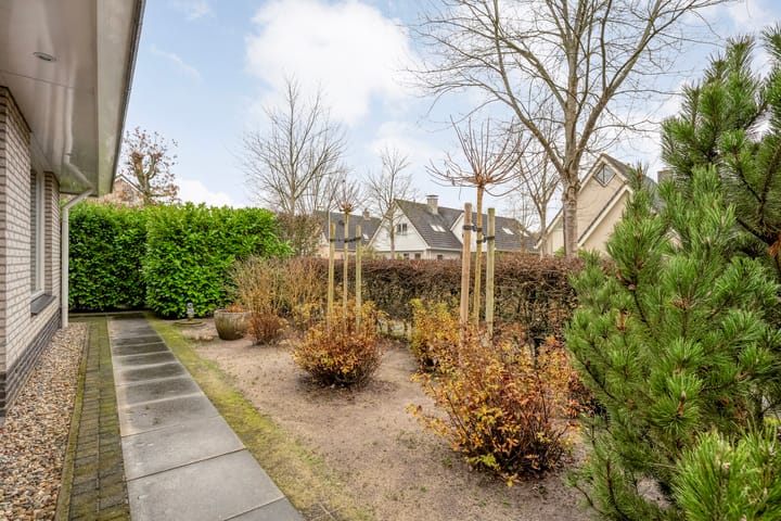 Foto 50 van Stegemanserf 8