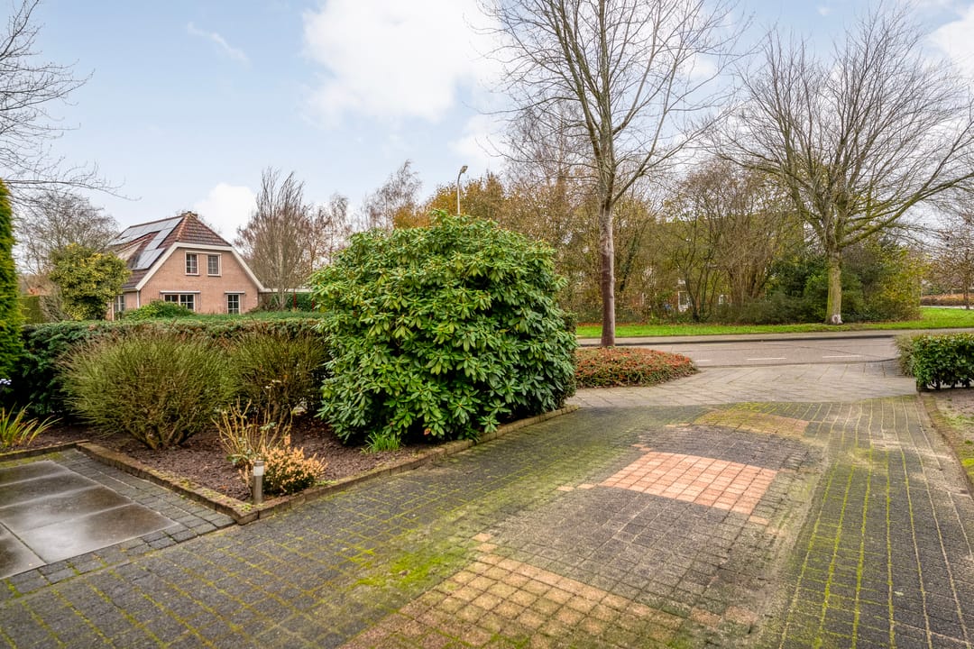 Foto 52 van Stegemanserf 8