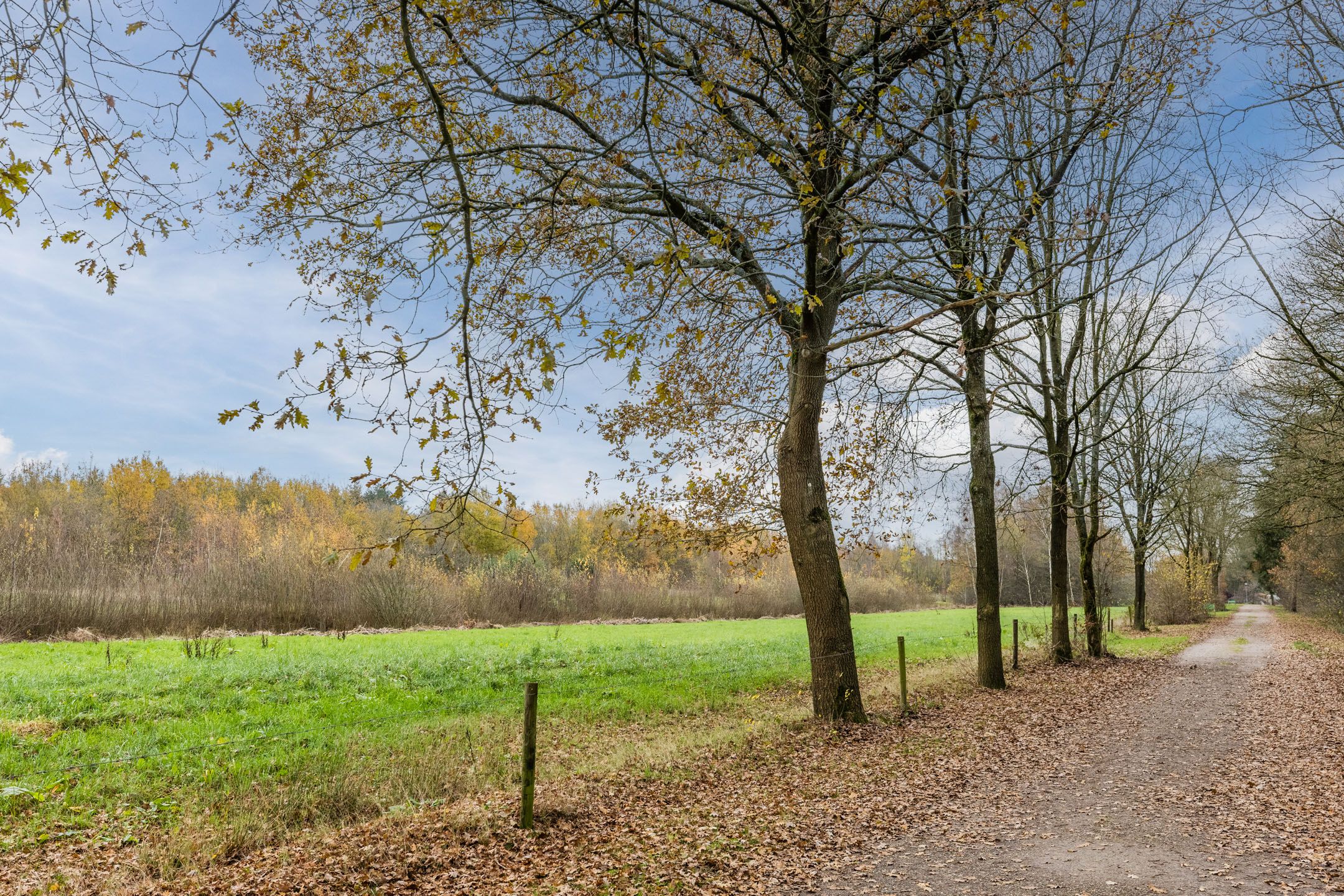 Foto 27 van Flaasdijk 1-414