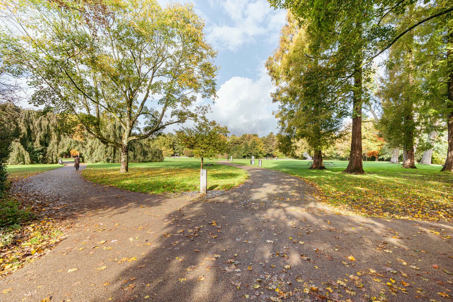 Foto 34 van Gijsbrecht van IJselsteinstraat 35