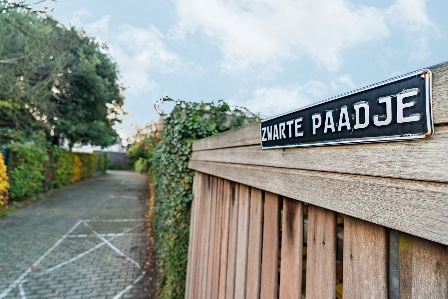 Foto 40 van St. Annastraat 275