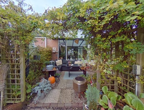 undefined main image