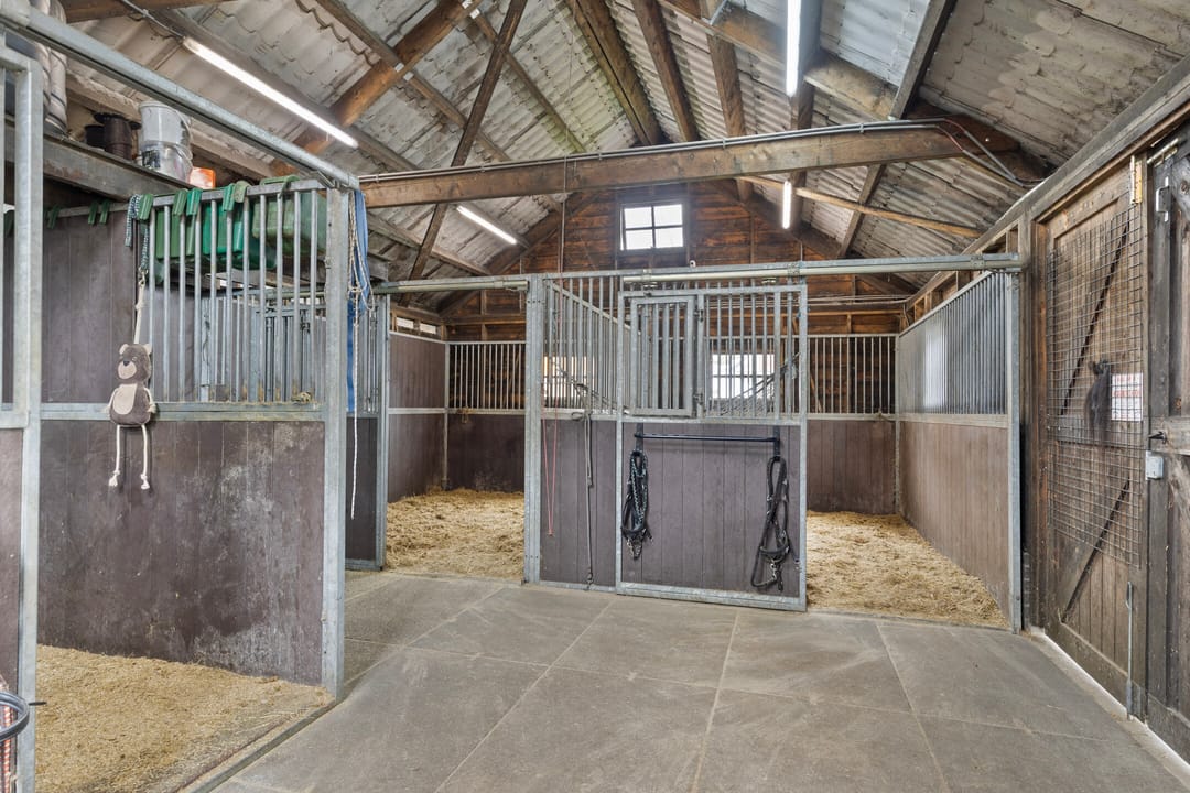 Photo 38 of Noorderdiep 203