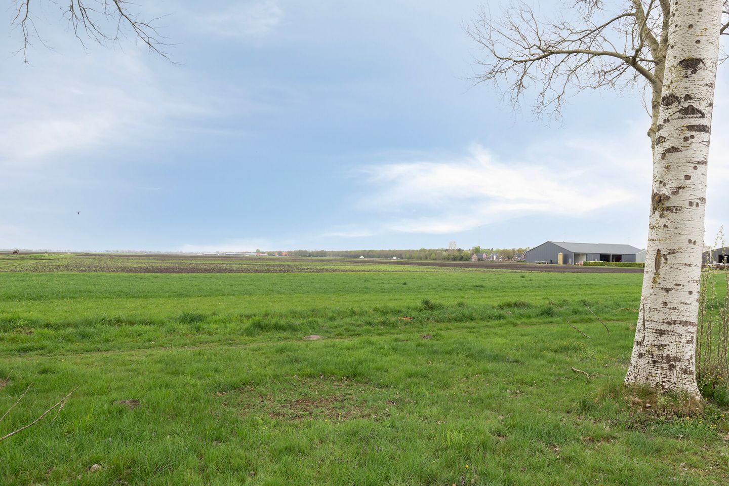 Photo 50 of Noorderdiep 203