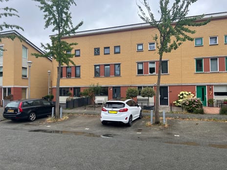 undefined main image