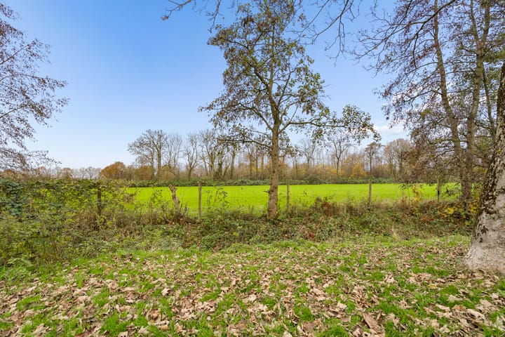 Photo 51 of Hoenderkopershoek 27