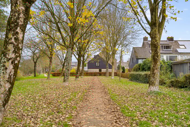 Photo 53 of Hoenderkopershoek 27