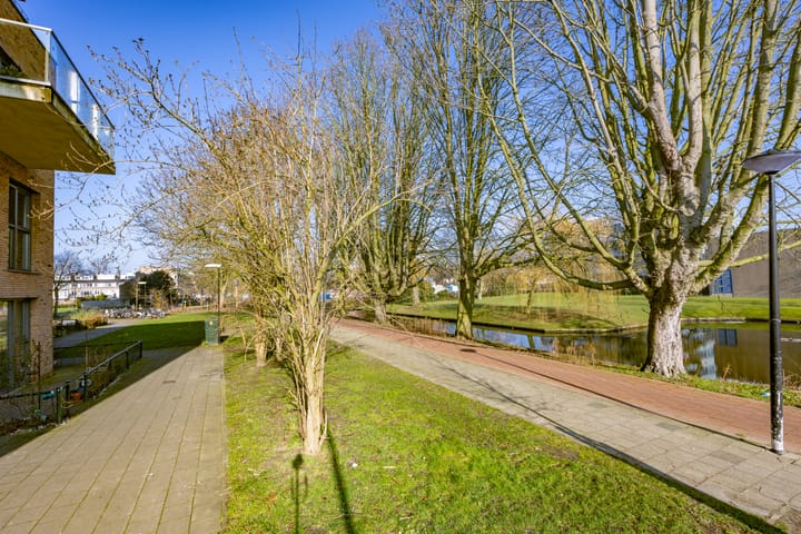 Foto 18 van Treubstraat 10-F017