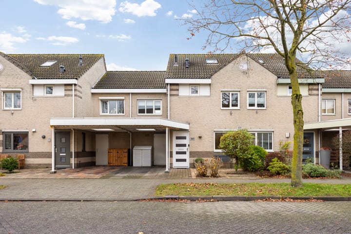 Foto 5 van Zilverpark 157