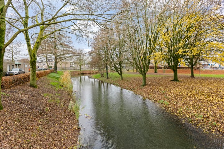 Foto 43 van Zilverpark 157