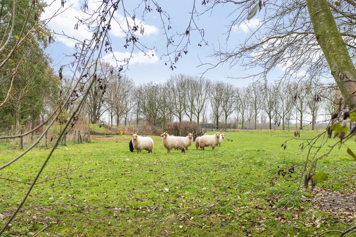 Foto 47 van Zilverpark 157